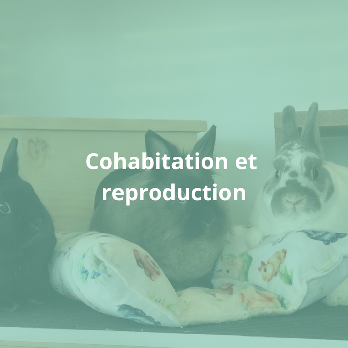Cohabitation et reproduction