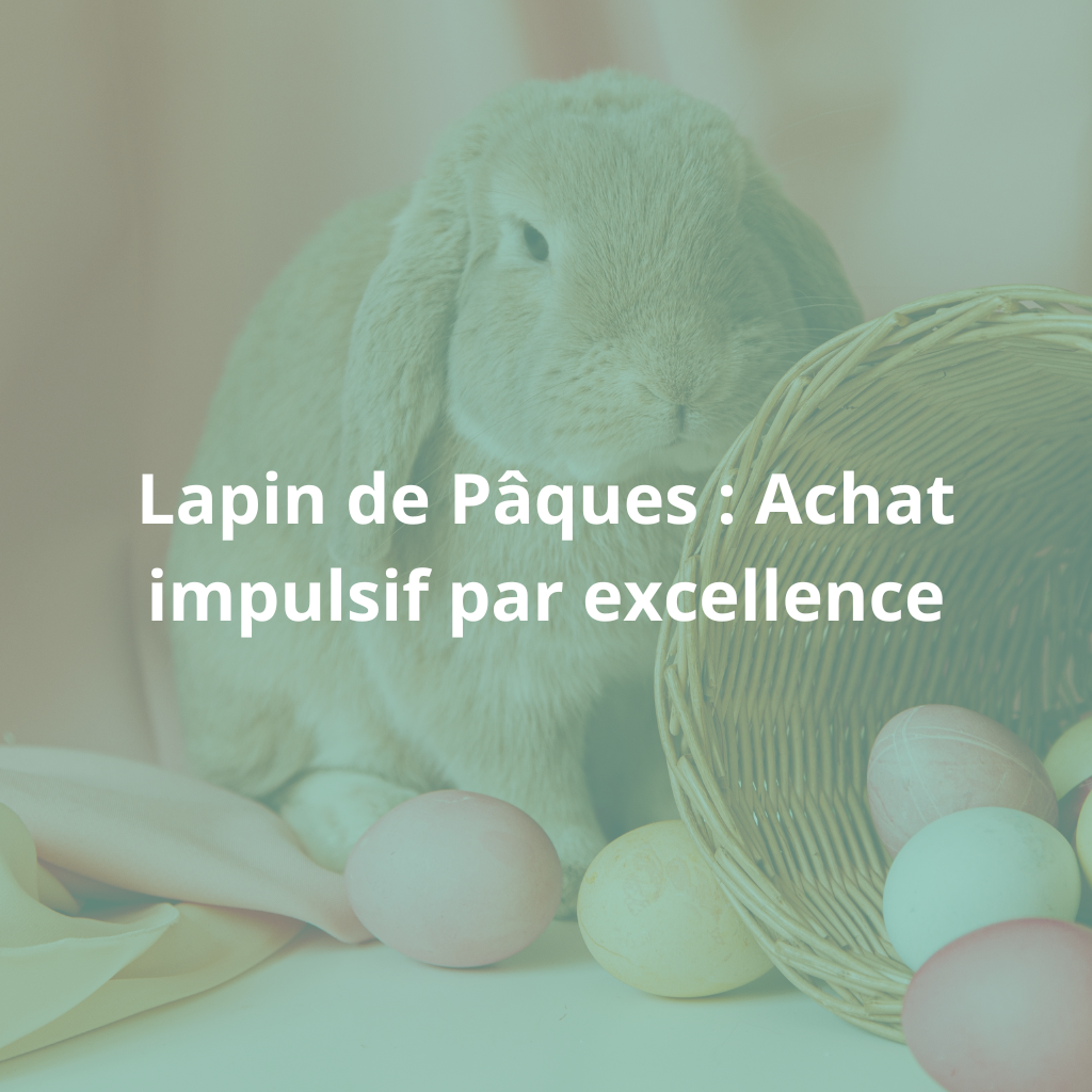 Lapin de Pâques : Achat impulsif par excellence