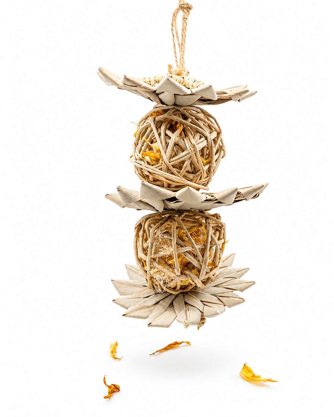 Ruisseau de Tournesols - The Bun Bun Family — sur fond blanc