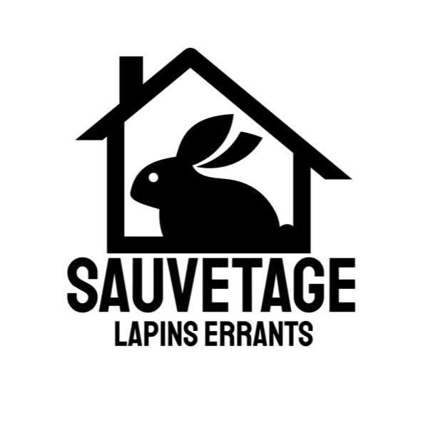 Sauvetage Lapins Errants