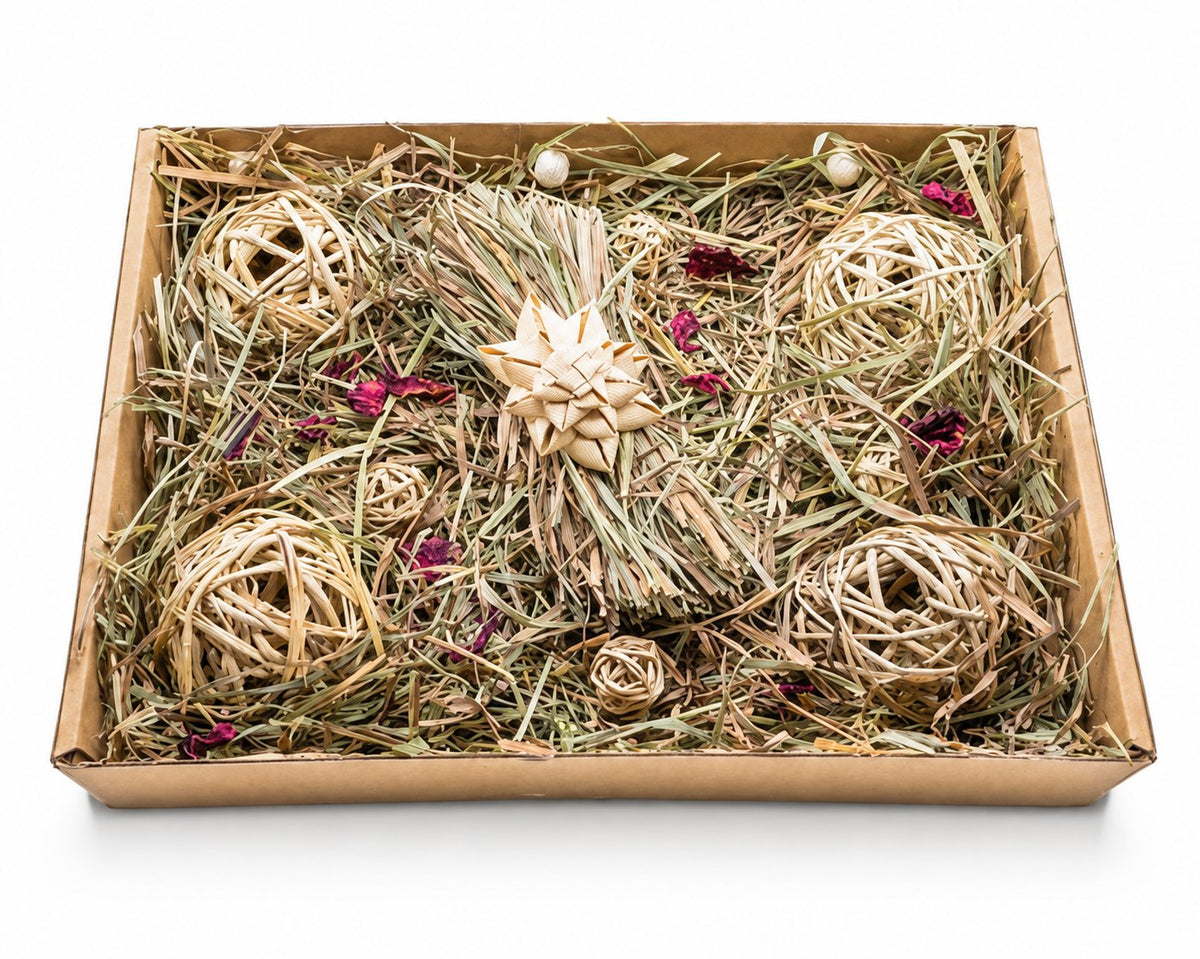 Jardin des petits lapins - The Bun Bun Family — sur fond blanc