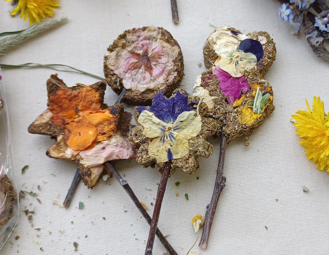 Flower lollipops, “Completely Crazy” pansy flowers