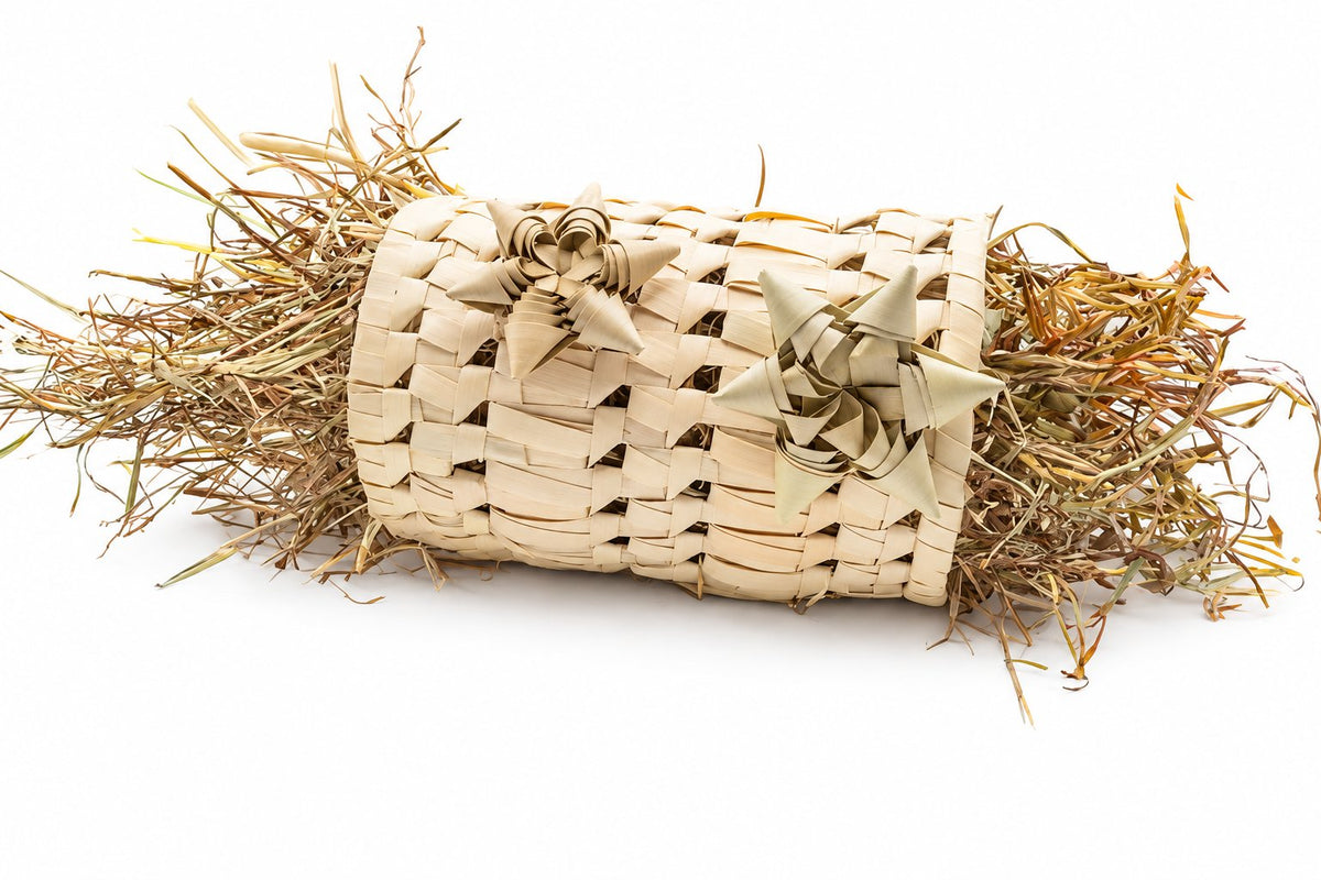 Tunnel en feuille de palmier - The Bun Bun Family — sur fond blanc