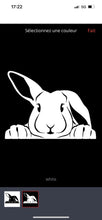 Charger l&#39;image dans la galerie, Collant lapin bélier en noir ou en blanc
