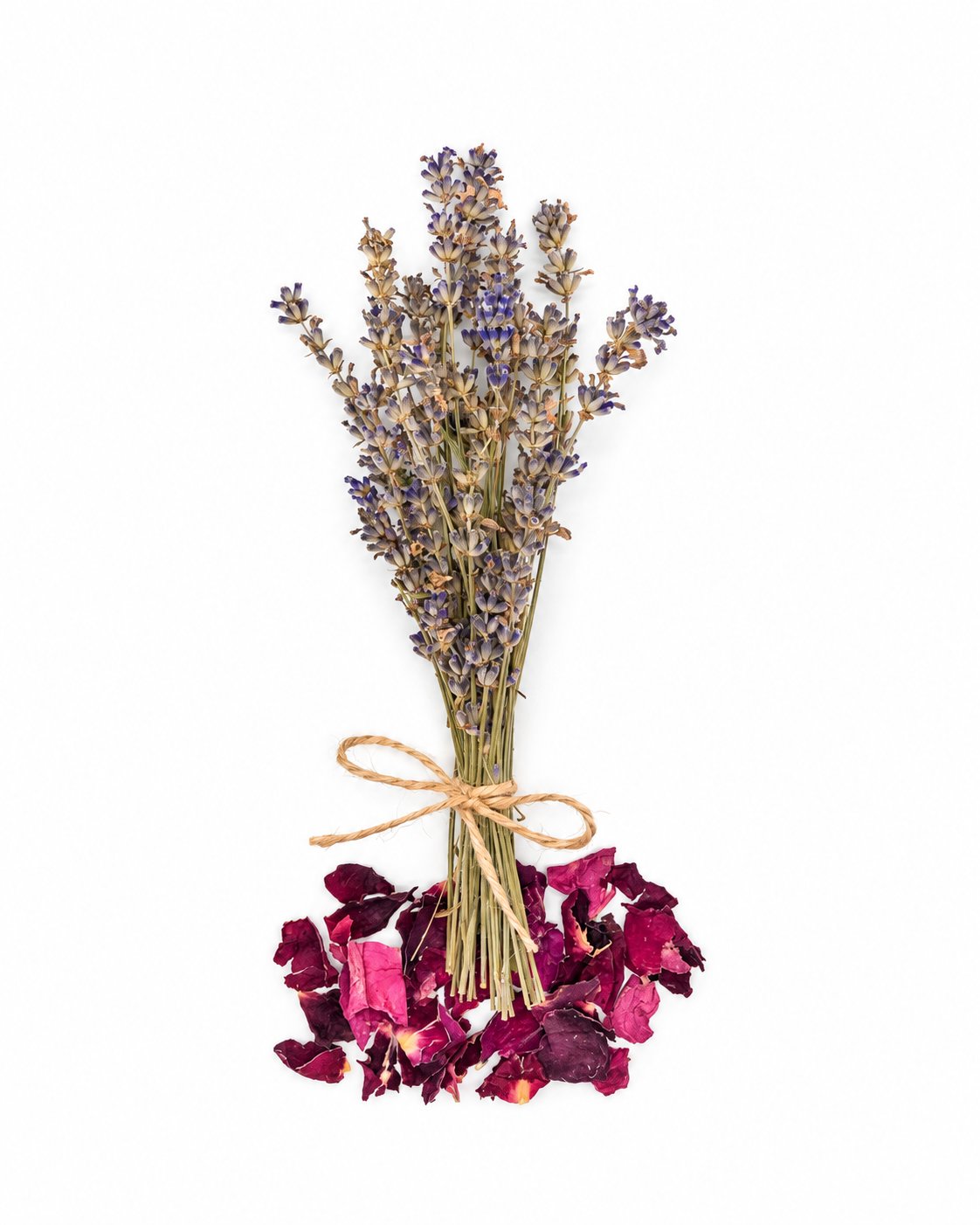 Lavande séchée et pétales de rose sur fond blanc