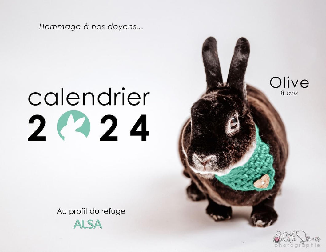 🔴 ALSA Calendar 2024