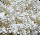 Texture de la litière de papier blanc Oxbow Pure Comfort