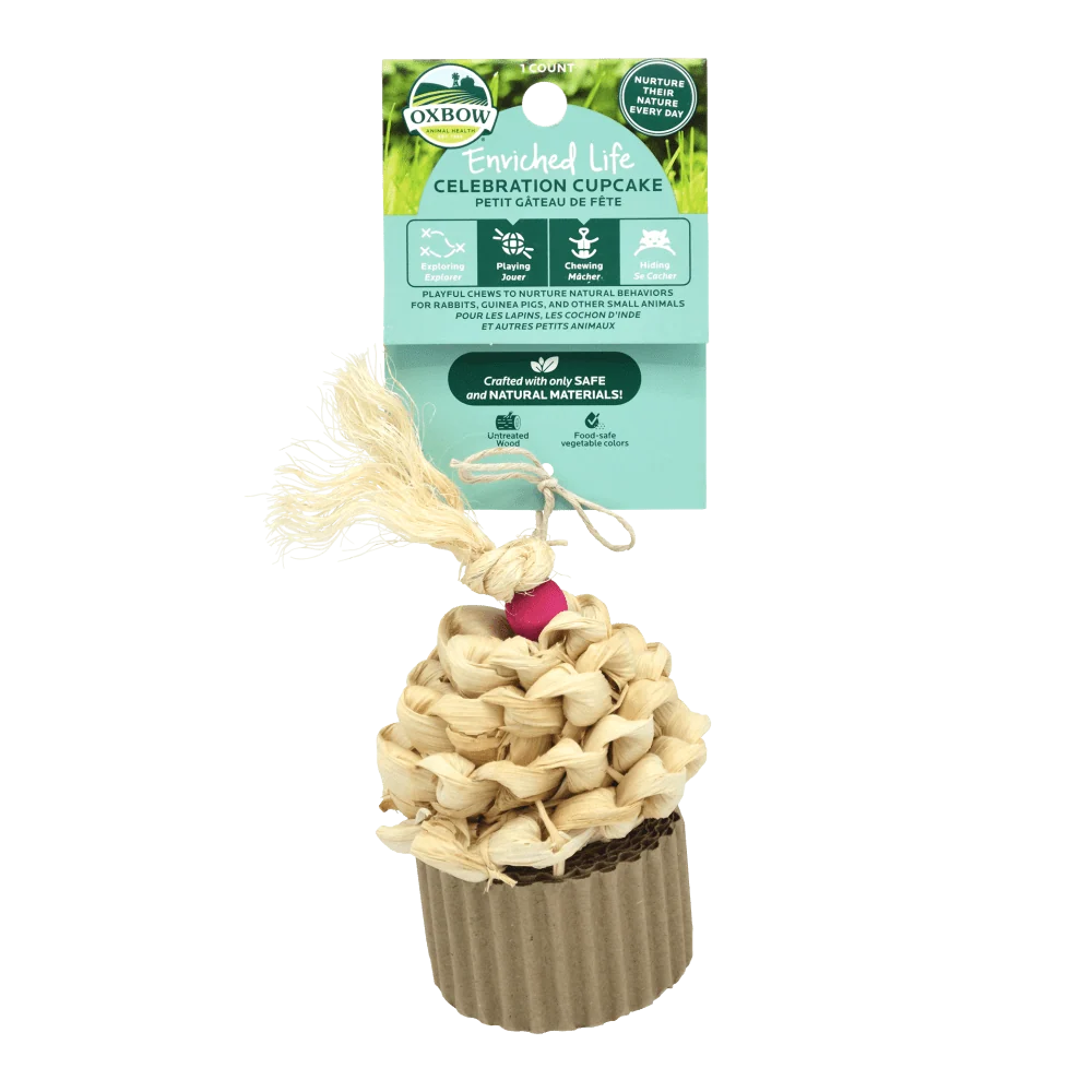 Petit gâteau de fête Oxbow - vue avant