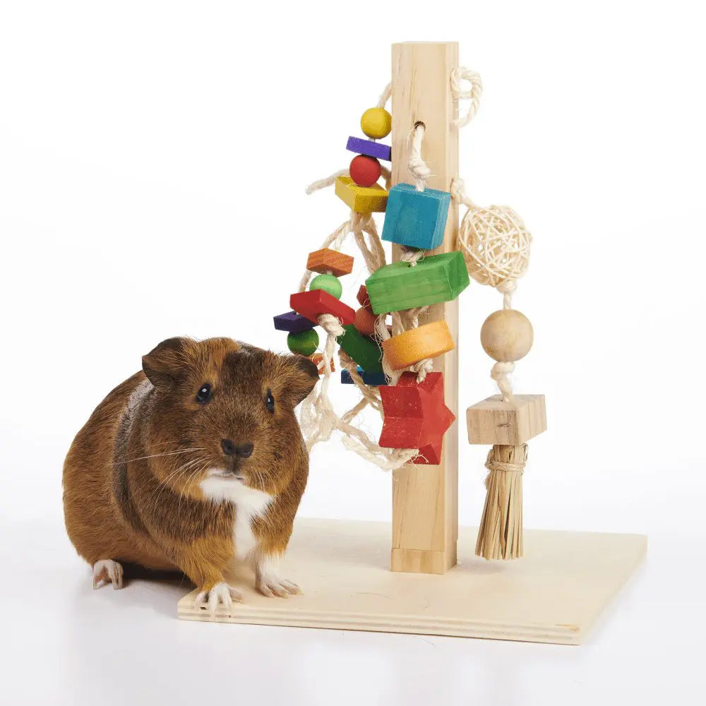 Poteau de jeu Oxbow Enriched Life avec cochon d’Inde