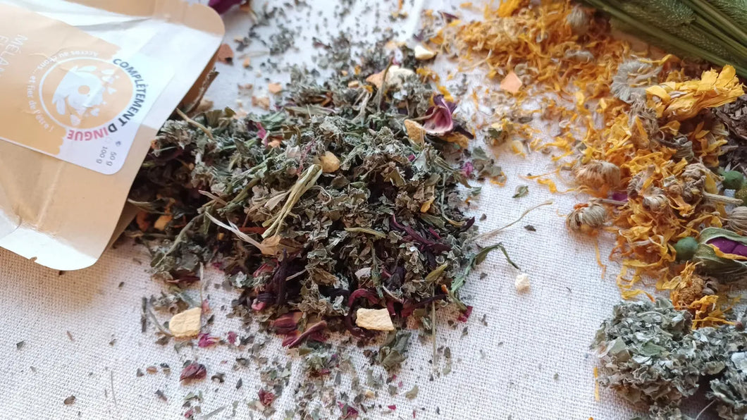 Mélange floral « Grand gourmet » de Complètement Dingue